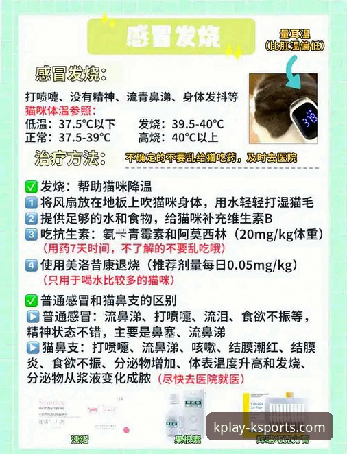 K体育平台服务体验常见问题：2026新版实用应对指南